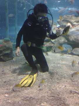 总是不停敷衍不停抱怨主播照片