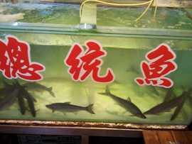♪♪f千容❤雅儿♪♪主播照片
