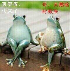 小猫云飞主播照片