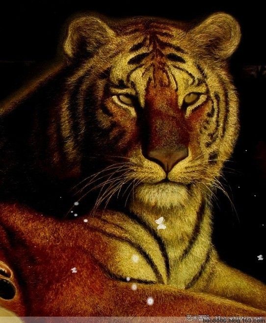 κiξs➴红尘梦无殇的主播照片