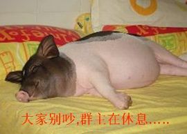 批发高端品牌鞋主播照片