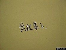 走走停停。。主播照片