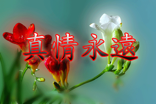 に*水果大王*に的图片