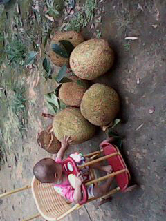 我们家的灰太狼♥久哥主播照片