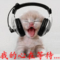 偶遇走的主播照片