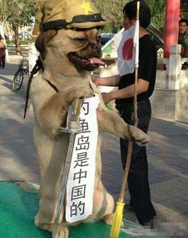 挂机机器人主播照片
