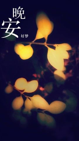 无言。--主播照片