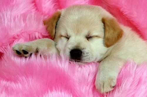 昵称违规，请重新修改的主播照片