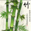☜青竹☞