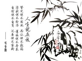 永远挂号主播照片