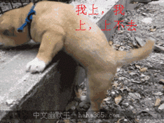 我欲化风成摩羯主播照片