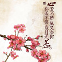 清风浩然666