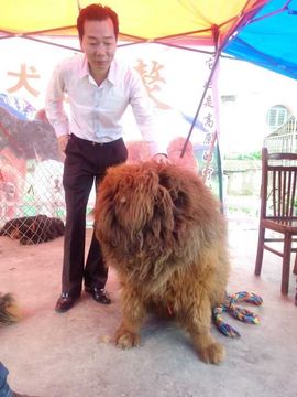 劳士alan主播照片