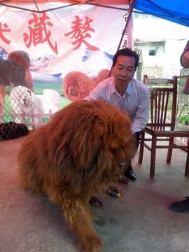 劳士alan主播照片