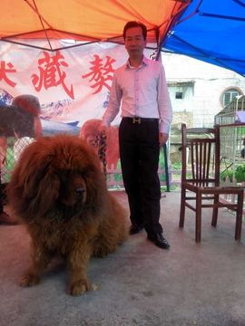 劳士alan主播照片