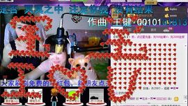 小样去哪儿了主播照片