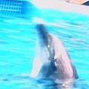 随风ぃ飘逝海报