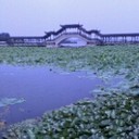 你能起这名