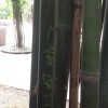 秋名山老师机的头像