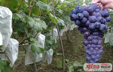 じ想念★╮守护佳阴的图片