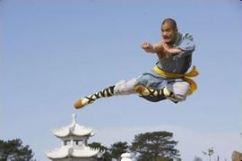 【豫p】追梦者传奇主播照片
