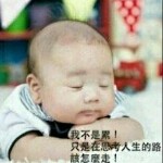 5岁就学泡妞