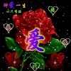 爱拼才会赢。o