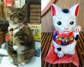 楊承运主播照片