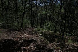 邪恶男神主播照片