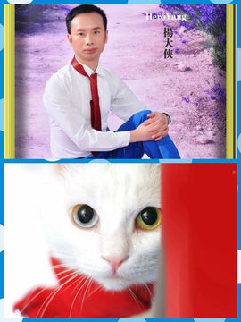杨大侠heroyan主播照片