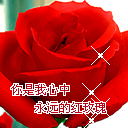 ❤ゞ爱如烈焰ゞ❤主播照片