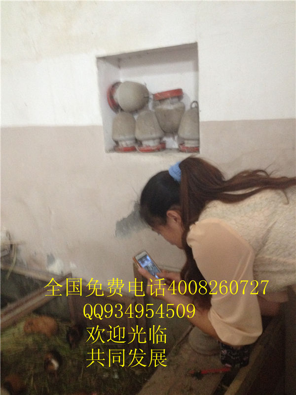 lmjyt的主播照片