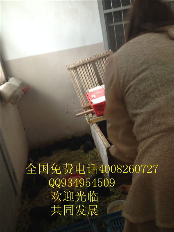 lmjyt的主播照片