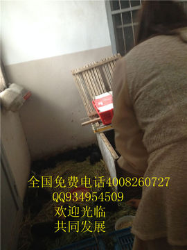 lmjyt主播照片
