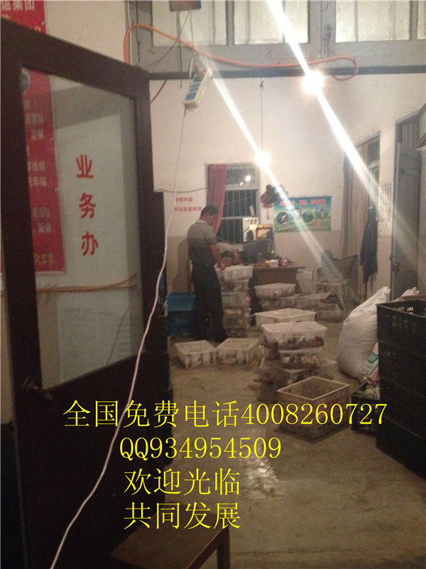 lmjyt的主播照片
