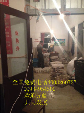 lmjyt主播照片