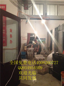 lmjyt主播照片