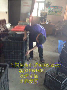 lmjyt主播照片