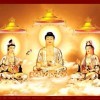 炫★☆明月