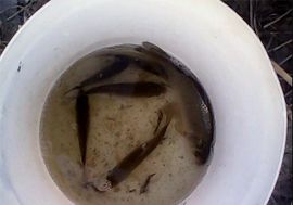 🐃牛牛主播照片