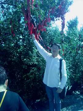 玉龙文华五度传媒主播照片