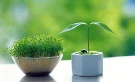 永远挂号主播照片