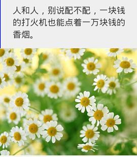 示申🎉言舌主播照片
