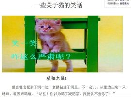 猫一猫舞侠主播照片