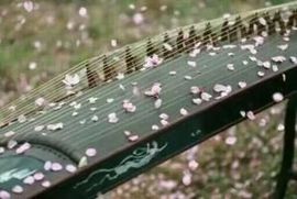 紫荆梦蝶主播照片