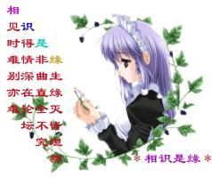 紫荆梦蝶主播照片