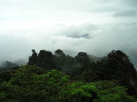 李毅勤羊杂割主播照片