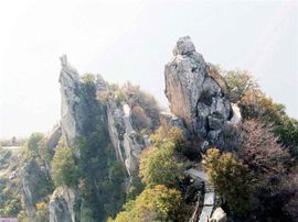 李毅勤羊杂割主播照片