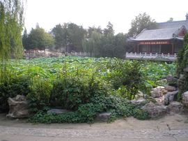 李毅勤羊杂割主播照片