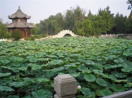 李毅勤羊杂割主播照片